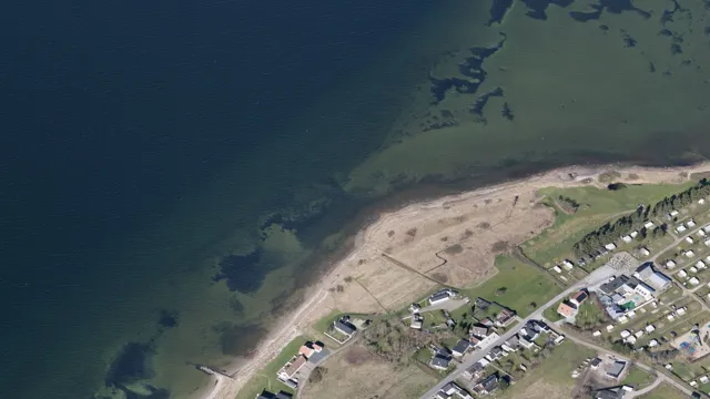 hvalpsund-01 (1)