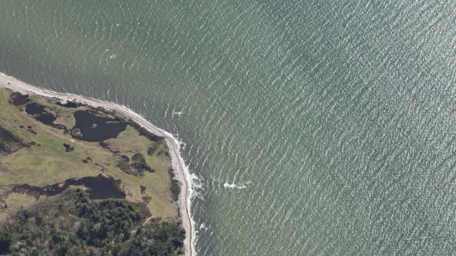 roenbjerg-02