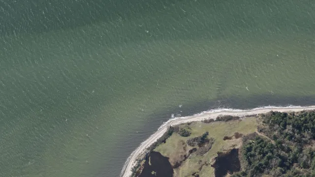 roenbjerg-04